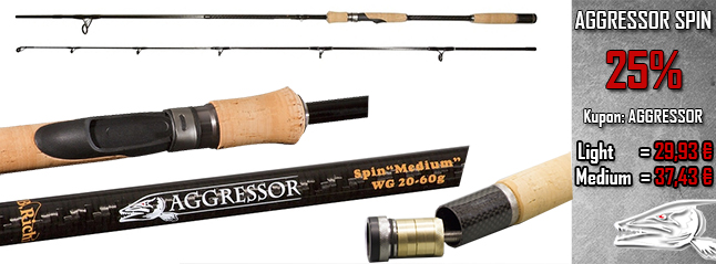 Aggressor Spin Angebot